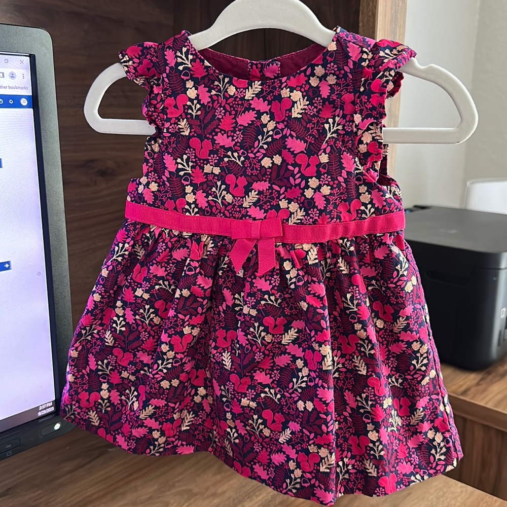 Gymboree Baby Girls 0-3 Dress